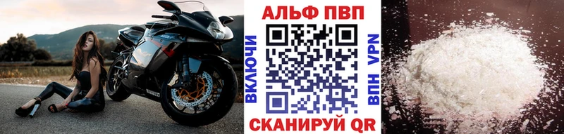 дарнет шоп  Маркс  Alpha PVP крисы CK 