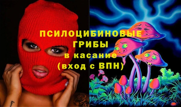 spice Беломорск