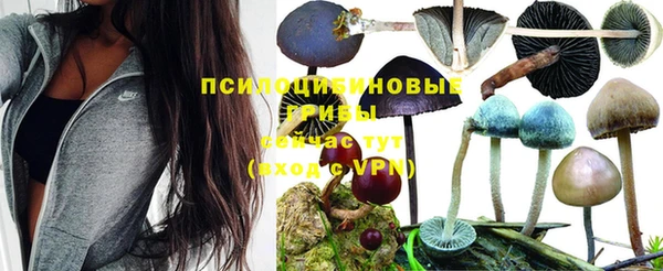 герыч Белокуриха