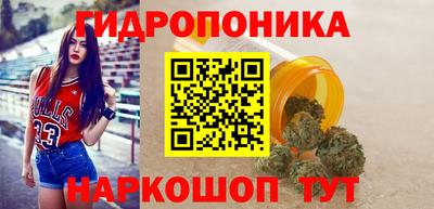 прущие крисы Аша