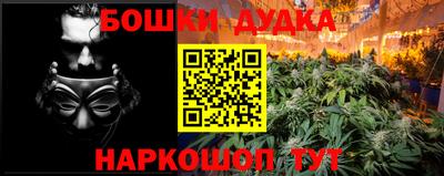 прущие крисы Аша