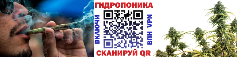 МАРИХУАНА сатива  ОМГ ОМГ tor  Маркс 