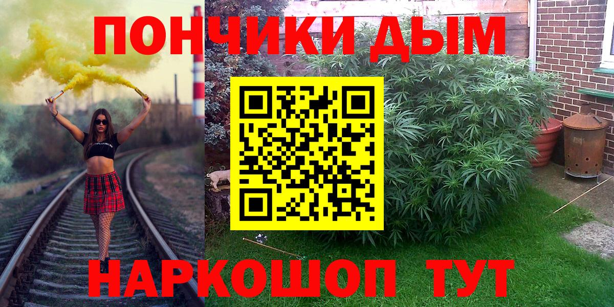 Шишки марихуана SATIVA & INDICA Маркс